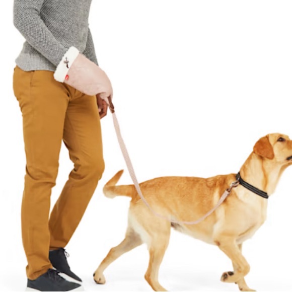 Reddy Pink Handwarmer Glove with 4 ft. Dog Pet Leash - Picture 1 of 14